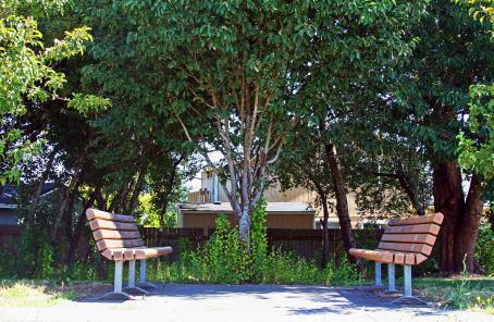Benches at Cannery Park