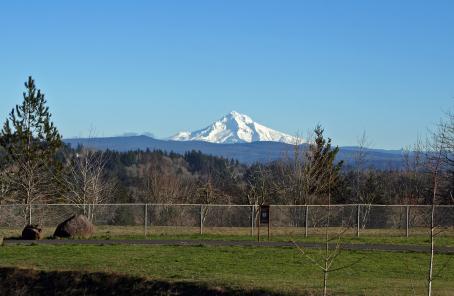 View of Mt. Hood from Sunrise Park